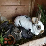 Apartman Vetter Gohrisch