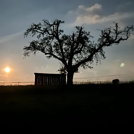 Апартаменты Vetter Курорт-Гориш