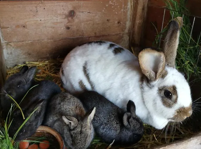 Διαμέρισμα Vetter Kurort Gohrisch